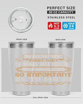 When we first met i had no idea you would be so important to me Style 10#- pig- Tumbler